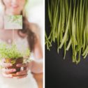 Menu matrimonio vegetariano